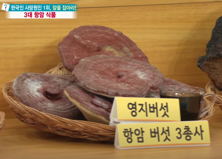 3대 항암버섯 3총사: 상황버섯 영지버석 차가버섯 효능과 복용법