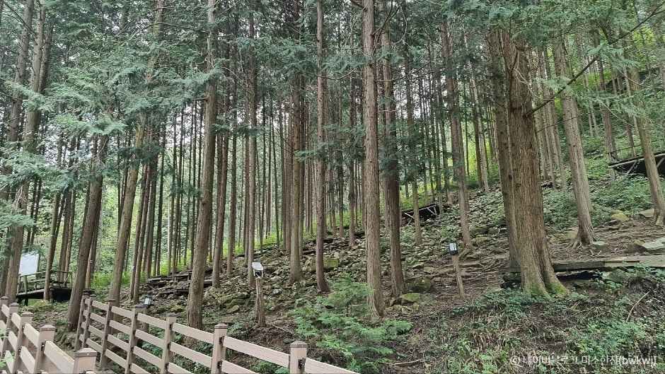 완주 가볼만한곳 베스트10