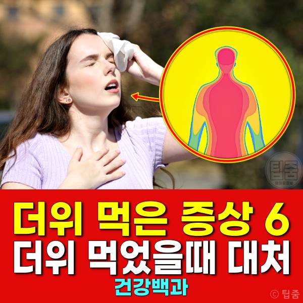 더위 먹은 증상 더위 먹었을때 대처 회복기간