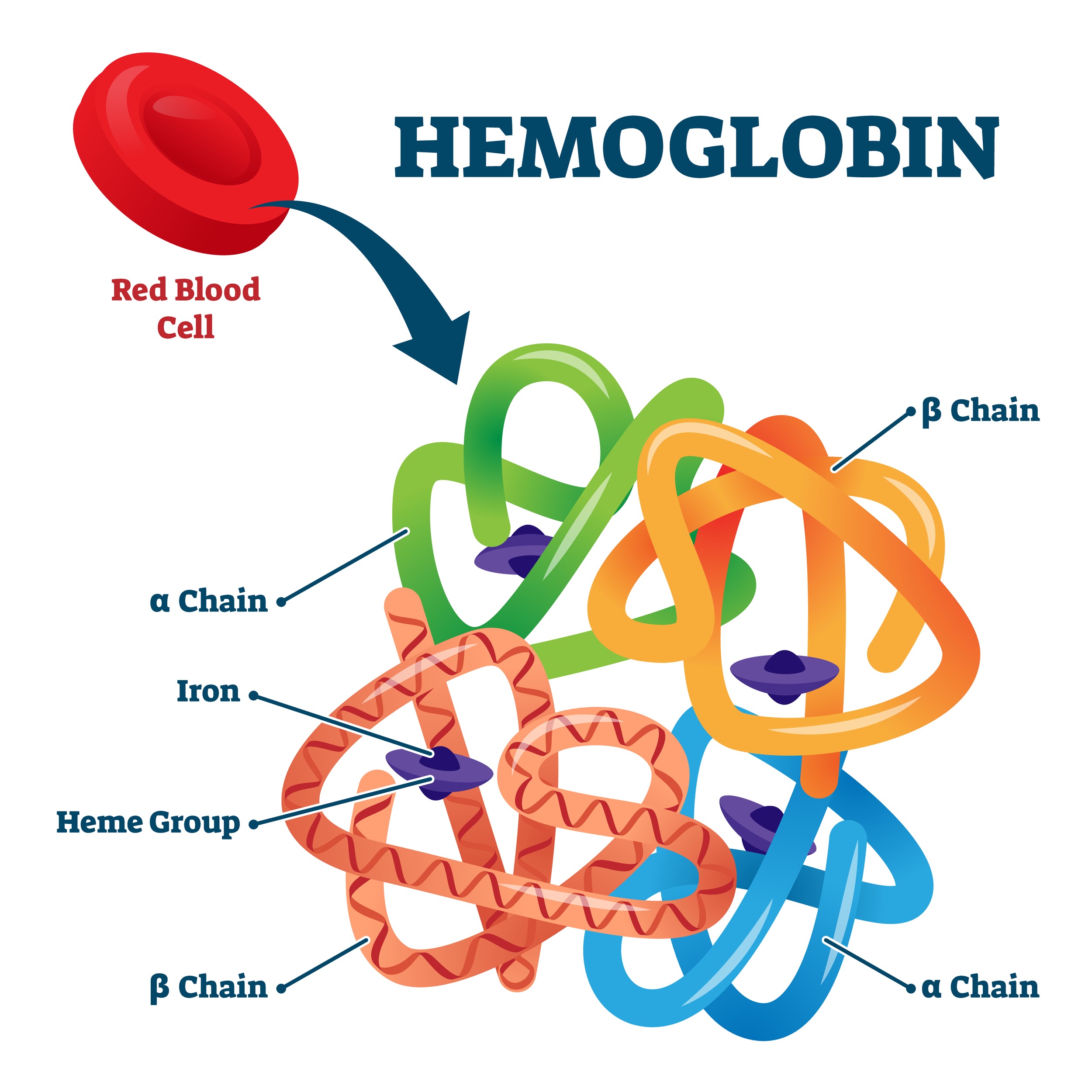 철분 많은 음식