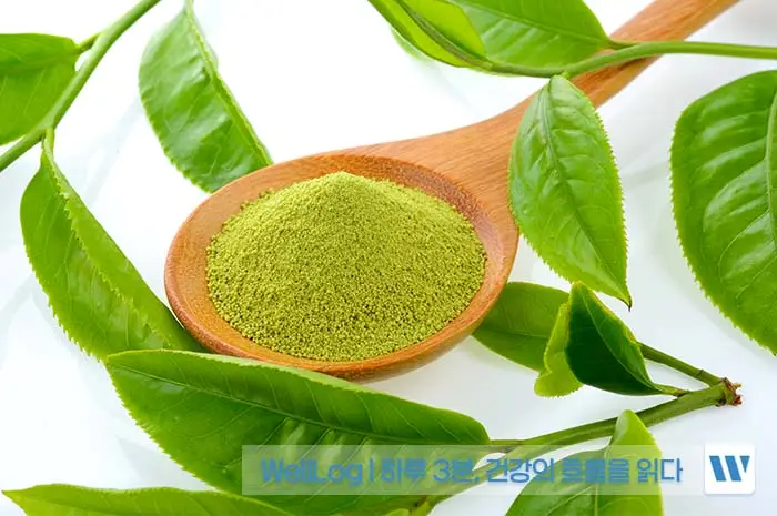 BNR17 유산균 효능&amp;#44; 복용법