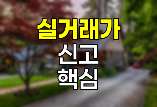 아파트 실거래가 신고 핵심 정보