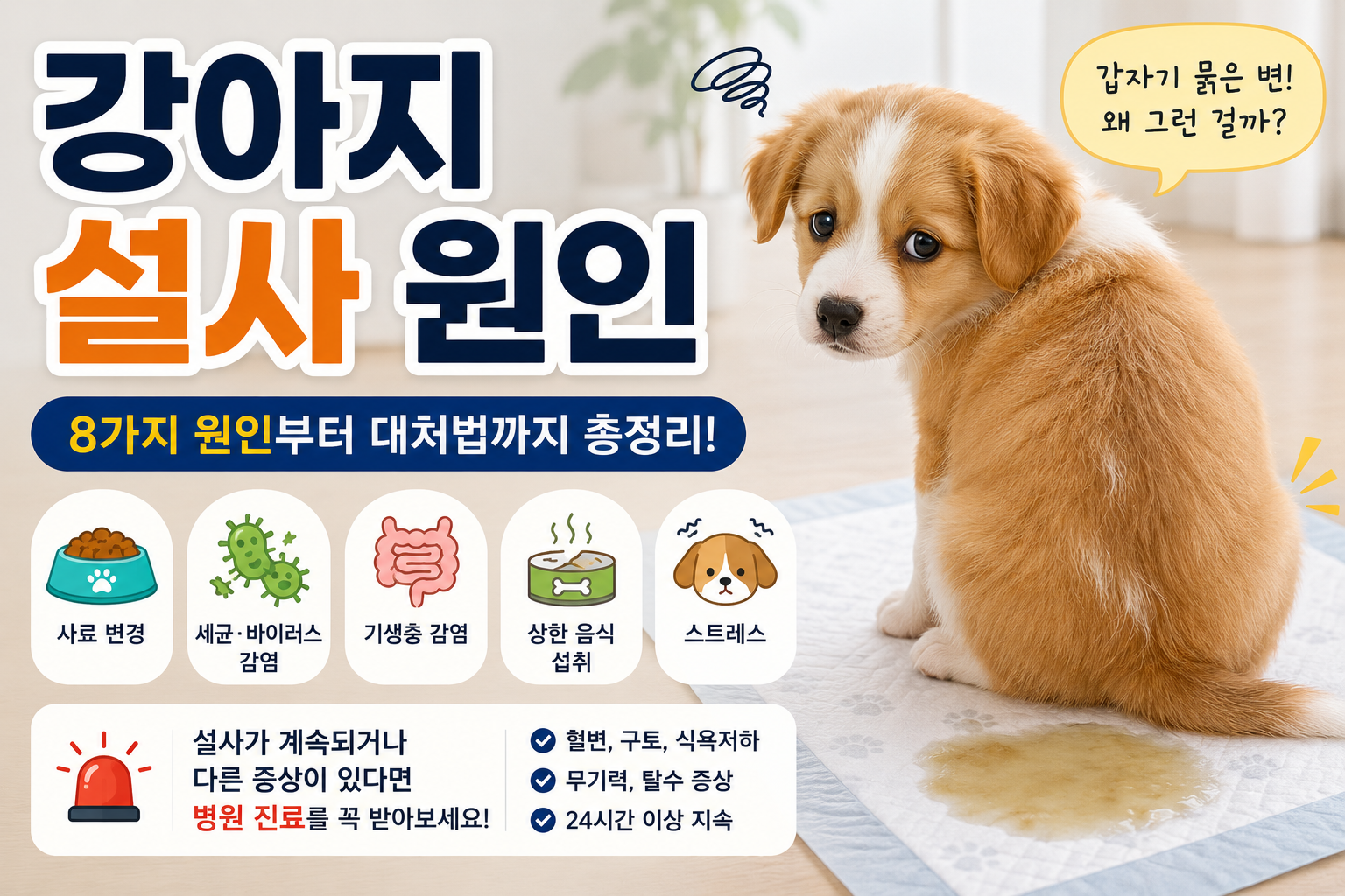 강아지 설사 원인과 대처 방법 대표 이미지