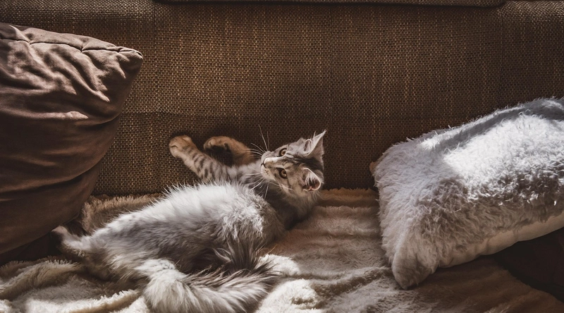 리모델링, 비용 산정과 시공사 선정