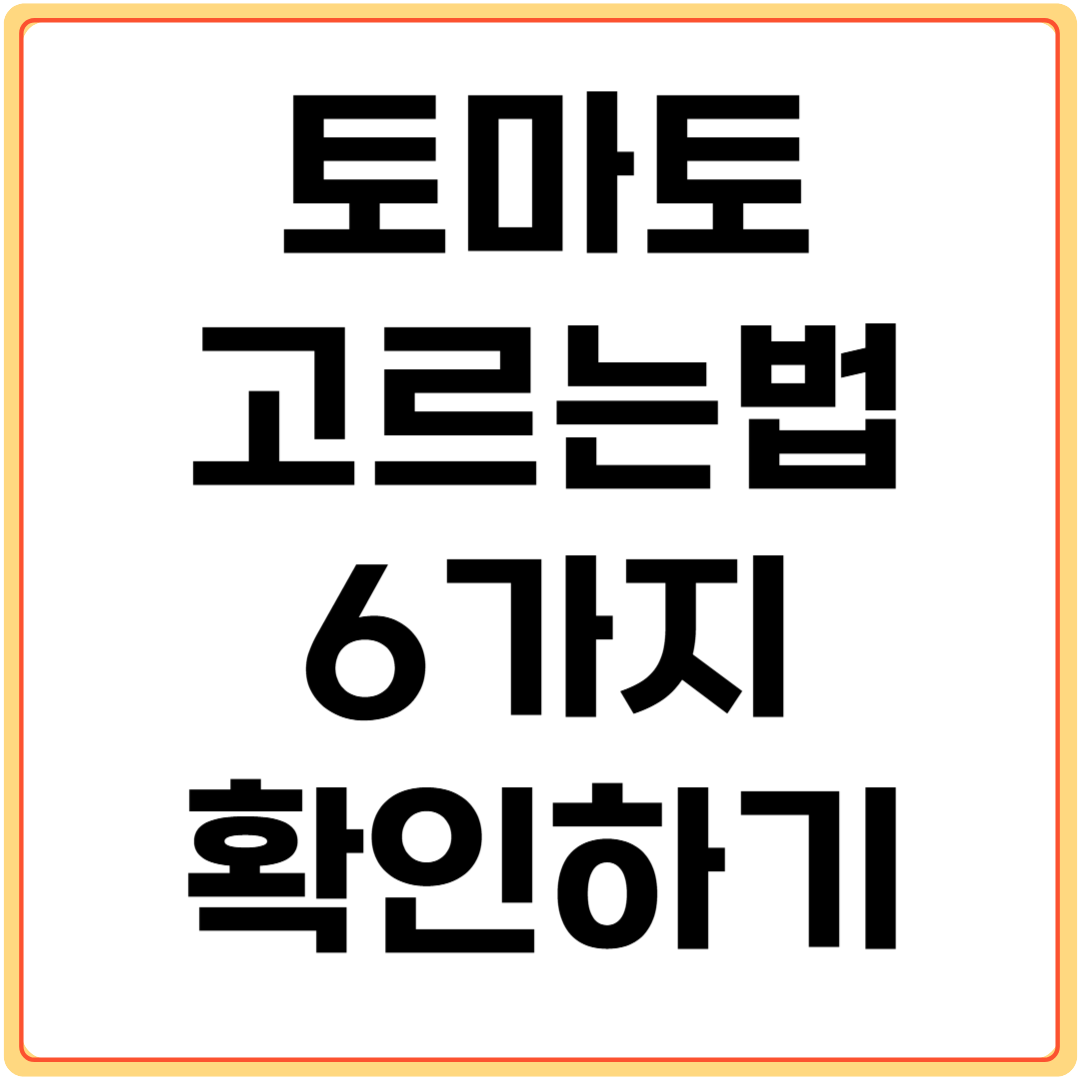 토마토-고르는-법-6가지-알아보기