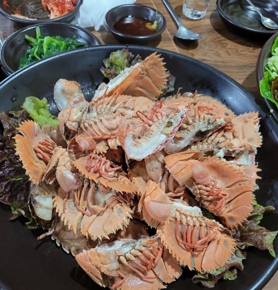 남겨서-뭐하게-제주-부채새우