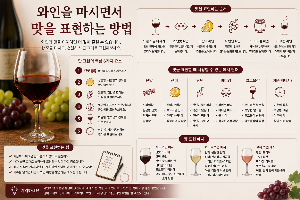 와인을 마시면서 맛을 표현하는 방법, 초보자도 쉽게 배우는 와인 맛 표현