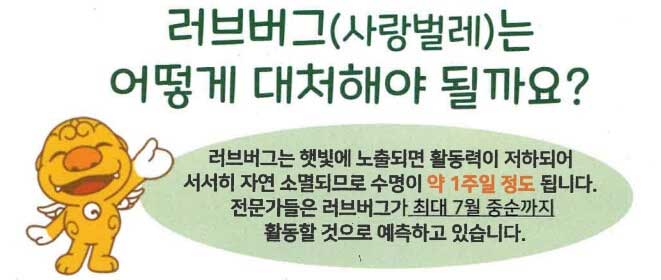 러브버그-퇴치방법-대처-방안