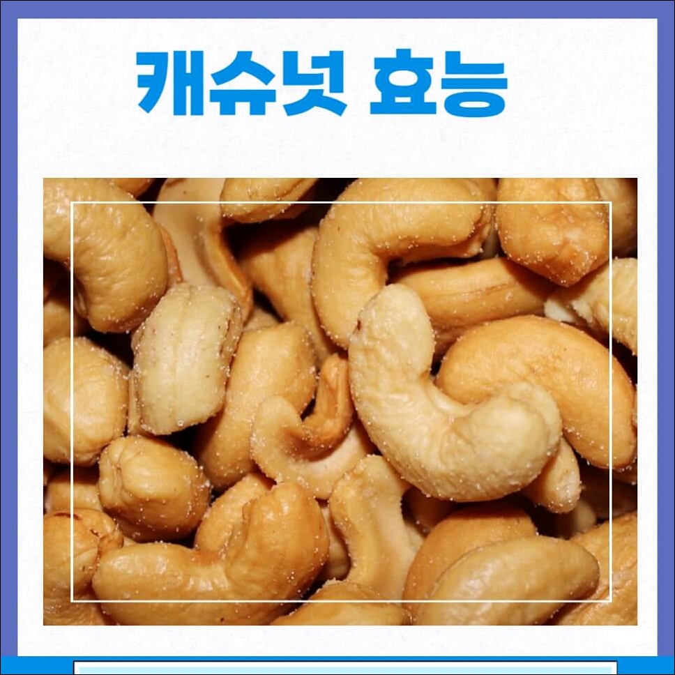 캐슈넛의 효능