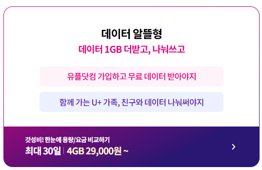 로밍 유심 휴대용 와이파이 차이점 lgu+