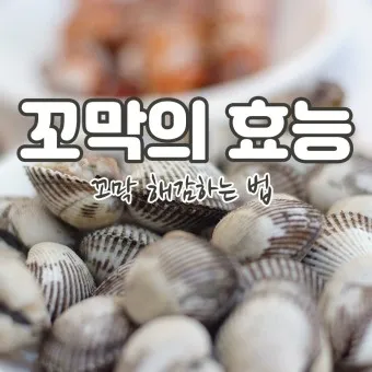 꼬막 무침 맛있게 삶는법_20