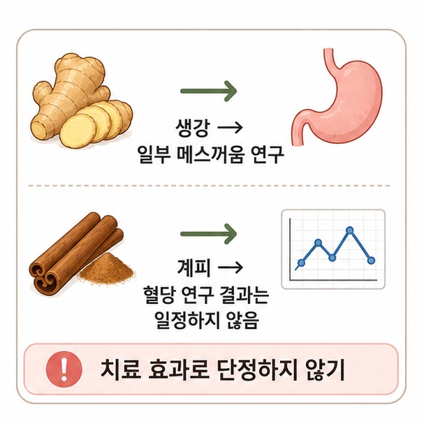 생강의 메스꺼움 관련 연구와 계피의 혈당 관련 연구 결과를 구분해 설명한 이미지