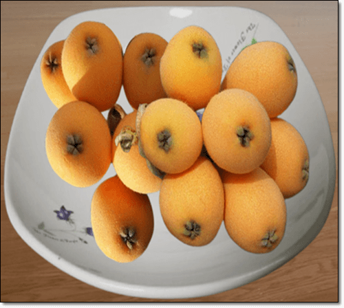 비파 열매 효능