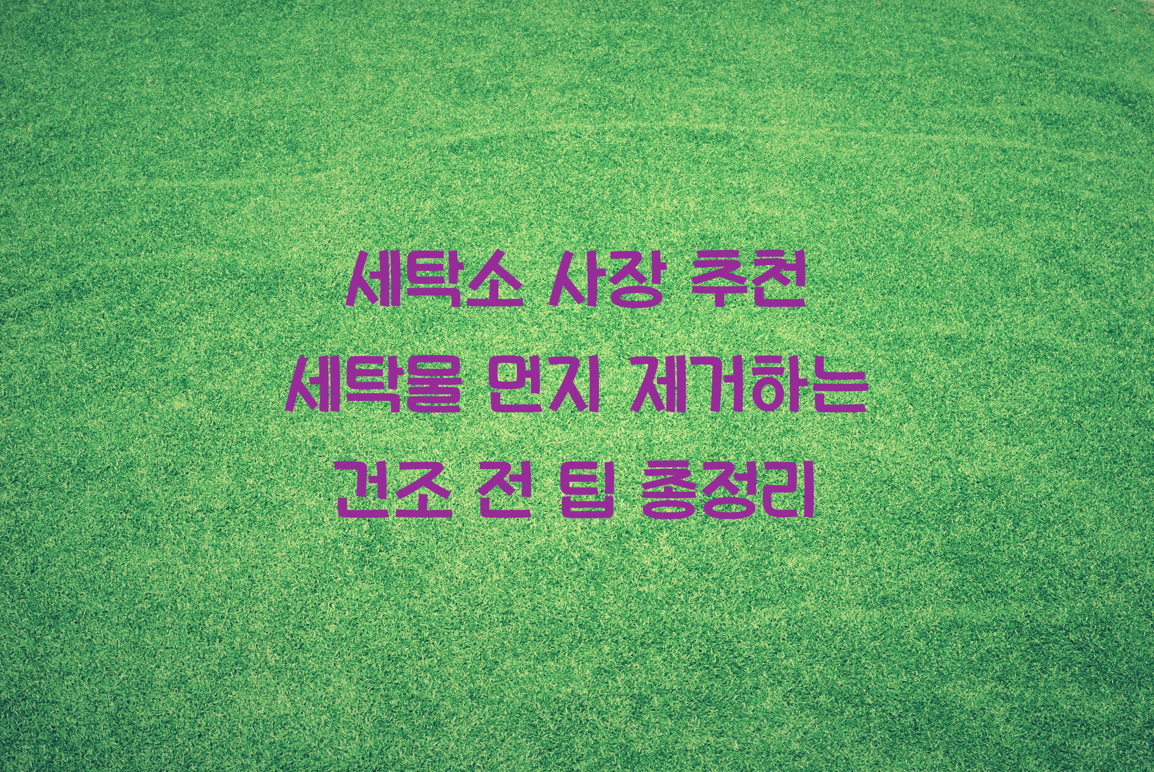 세탁물 먼지 제거하는 건조 전 팁