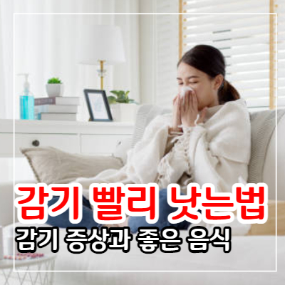 감기 빨리 낫는 법과 증상 및 감기에 좋은 음식