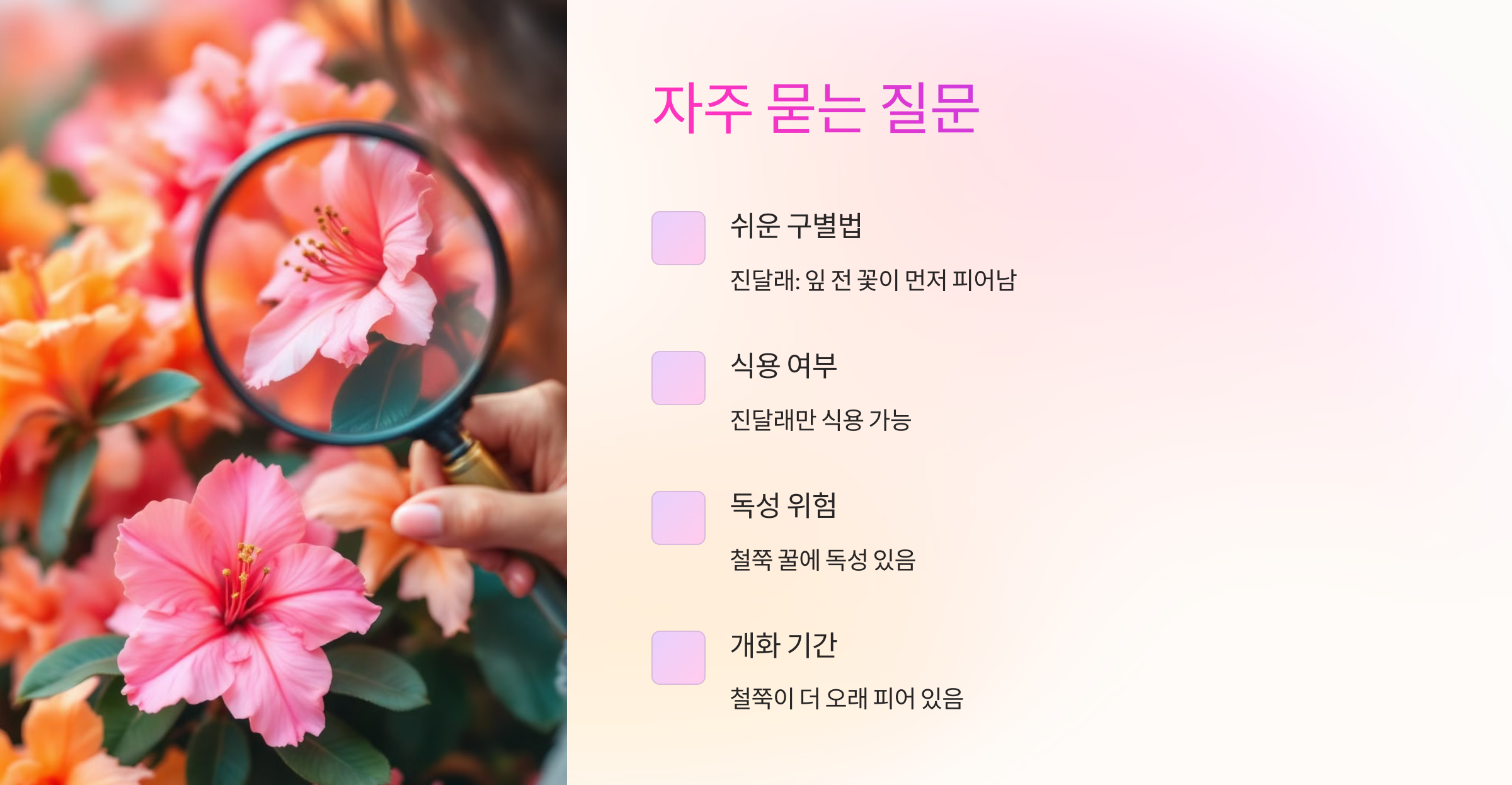 진달래와 철쭉