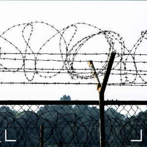 북한군 군사분계선 침범4