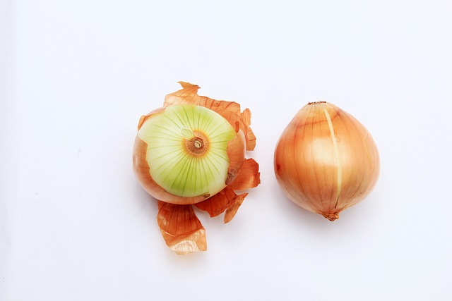 하루 양파 섭취량