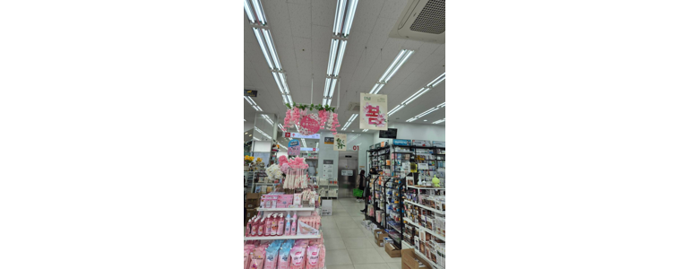 전주 덕진구 종합생활용품 다이소
