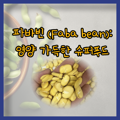 파바빈 (Faba bean): 영양 가득한 슈퍼푸드