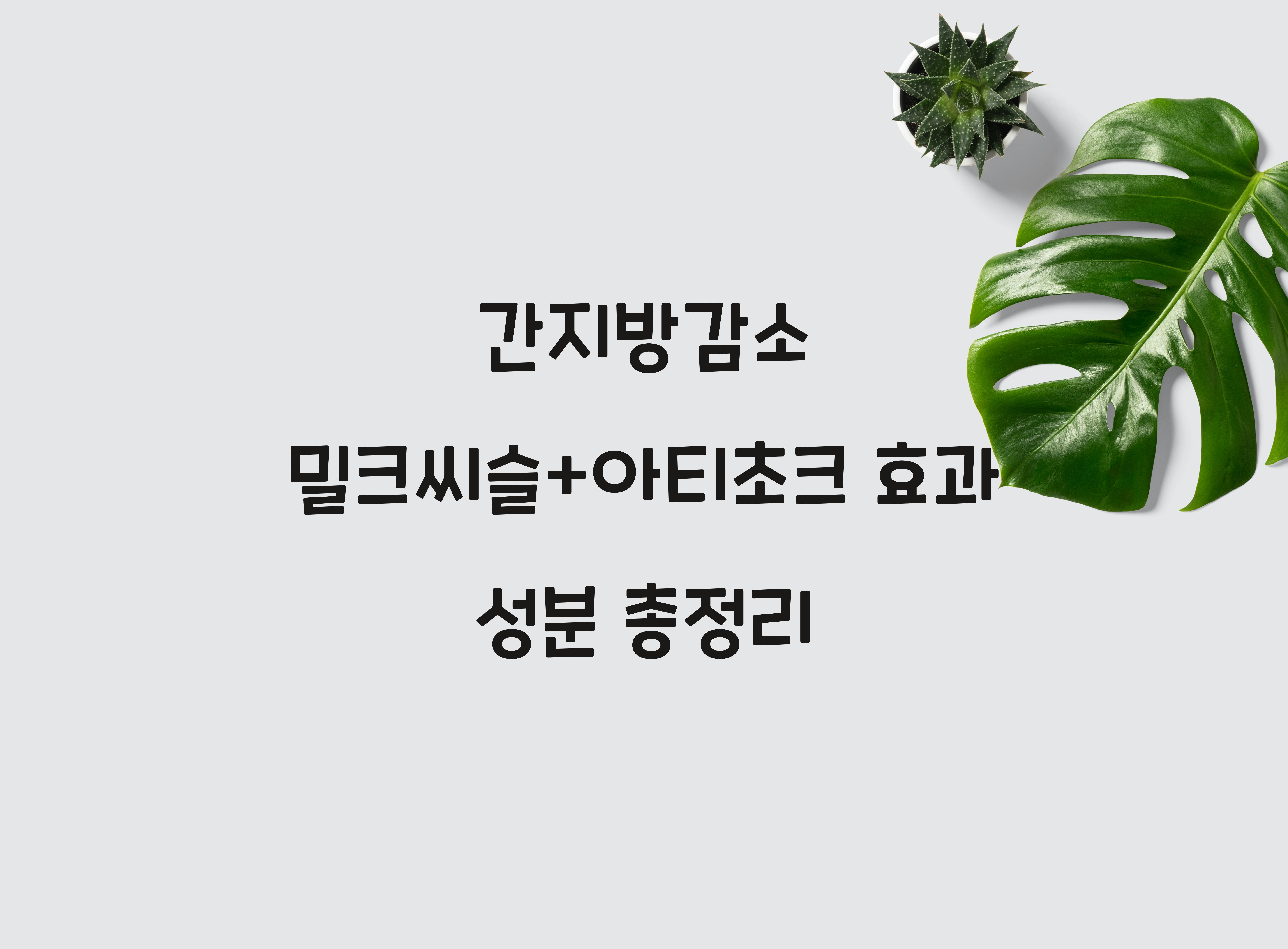 간지방감소 밀크씨슬+아티초크