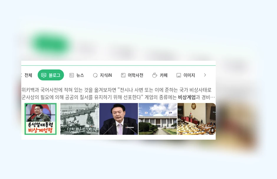 비상계엄_1_subsection