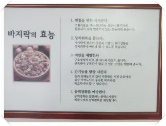 바지락 효능 보관방법 씻는법 해감시키는법_11