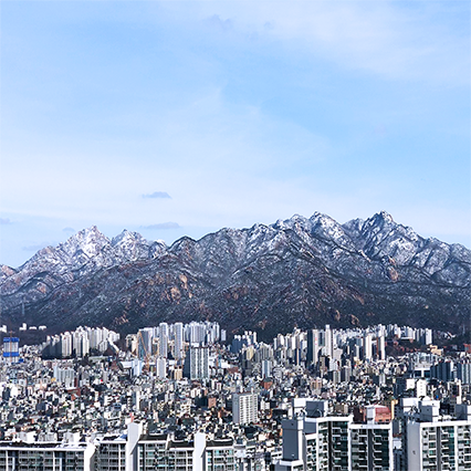 봉산 편백나무 치유의숲 북한산 전망