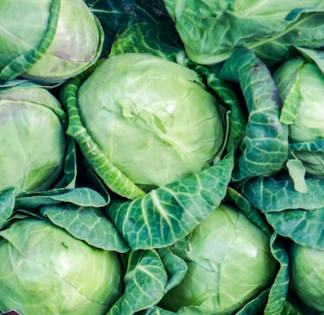 비타민E의 효능