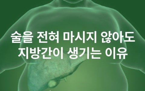 술을-전혀-마시지-않아도-지방간이-생기는-이유라는-텍스테뒤에-뚱뚱한-남성의-모습이-일러스트로-그려진-그림
