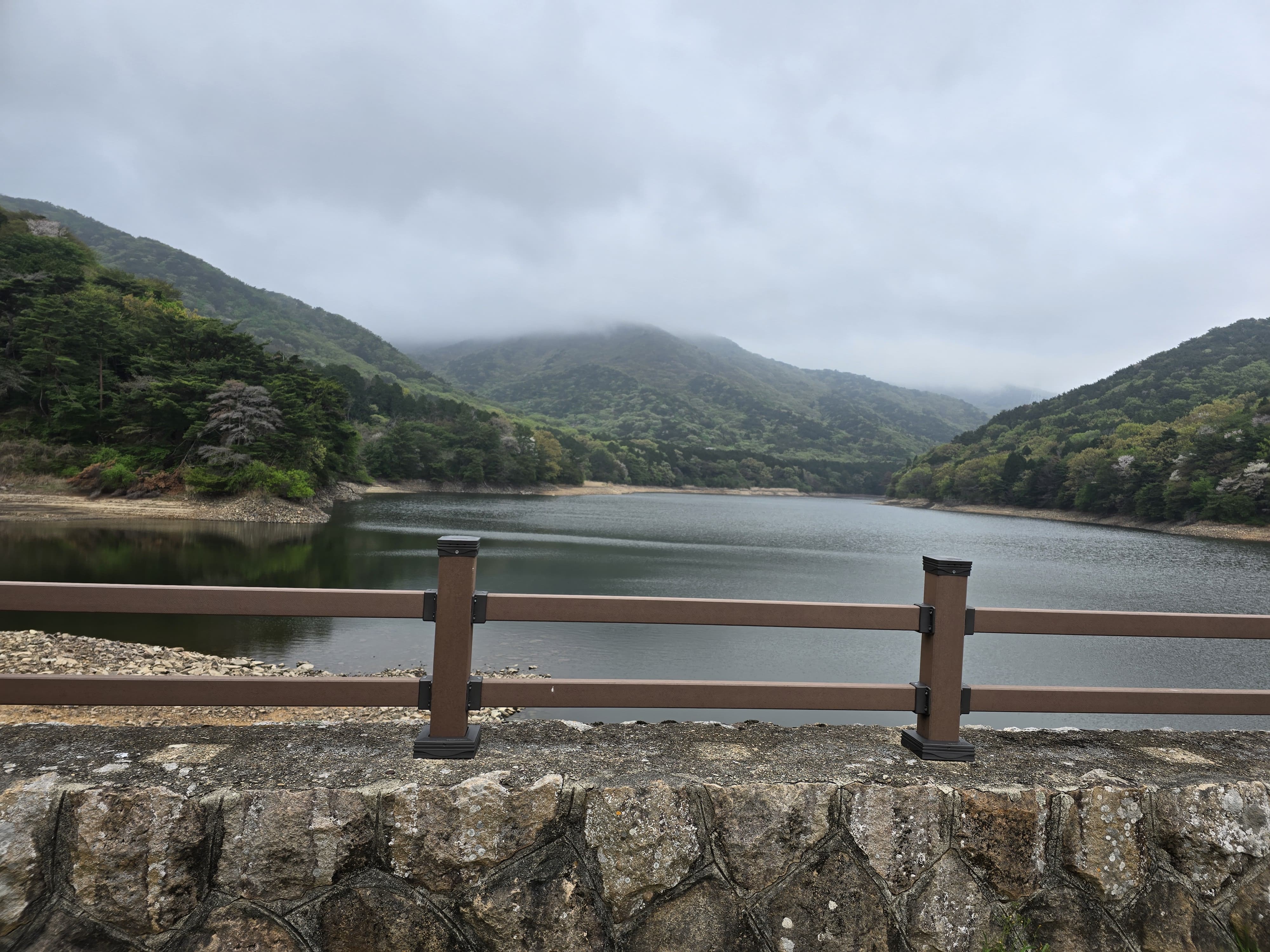 2025년 숲나들이 완벽 가이드