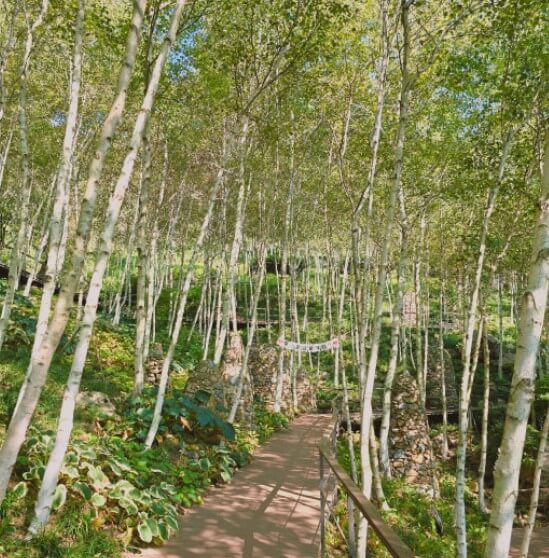 화담숲 예약하기