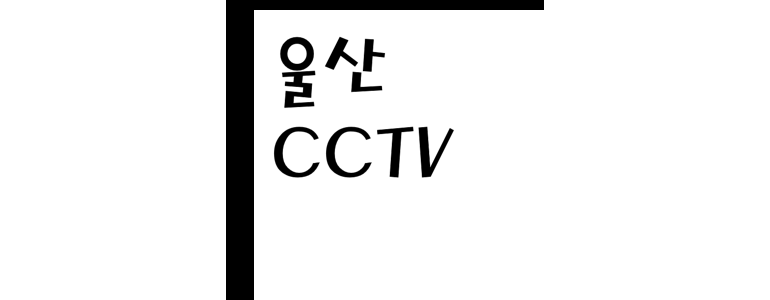 울산 남구 cctv
