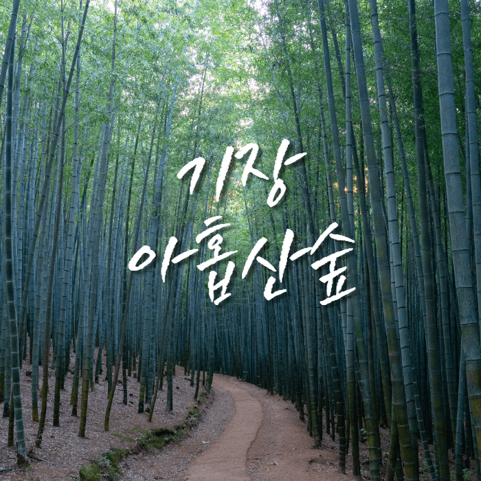 초록색으로 우거진 대나무숲