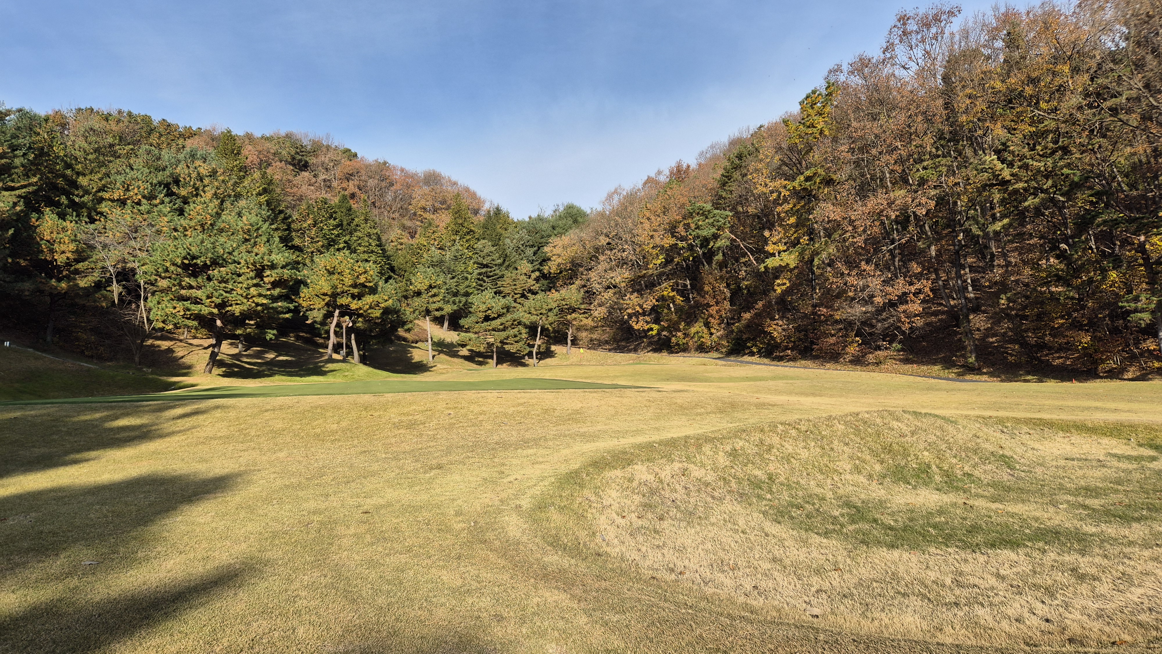 세종에머슨cc 밸리코스 사진 및 공략 정보