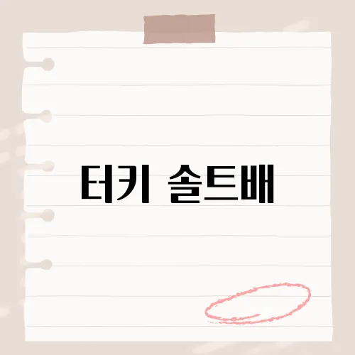 터키 솔트배, 스테이크 성지?