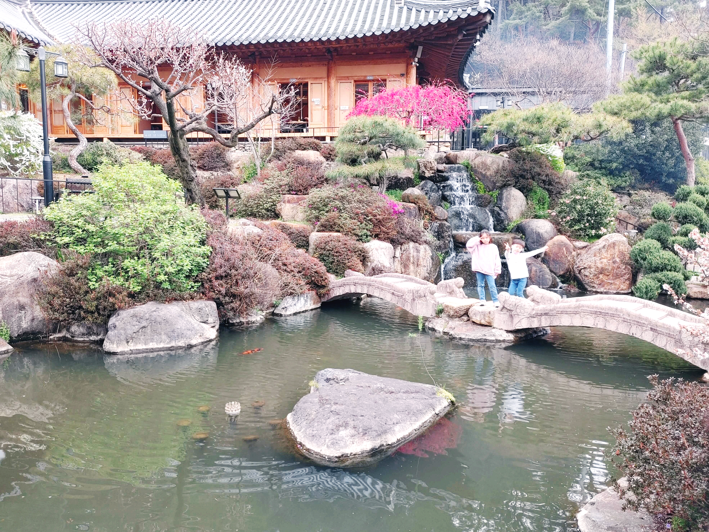 소토_한우_식육식당_별관앞_연못1