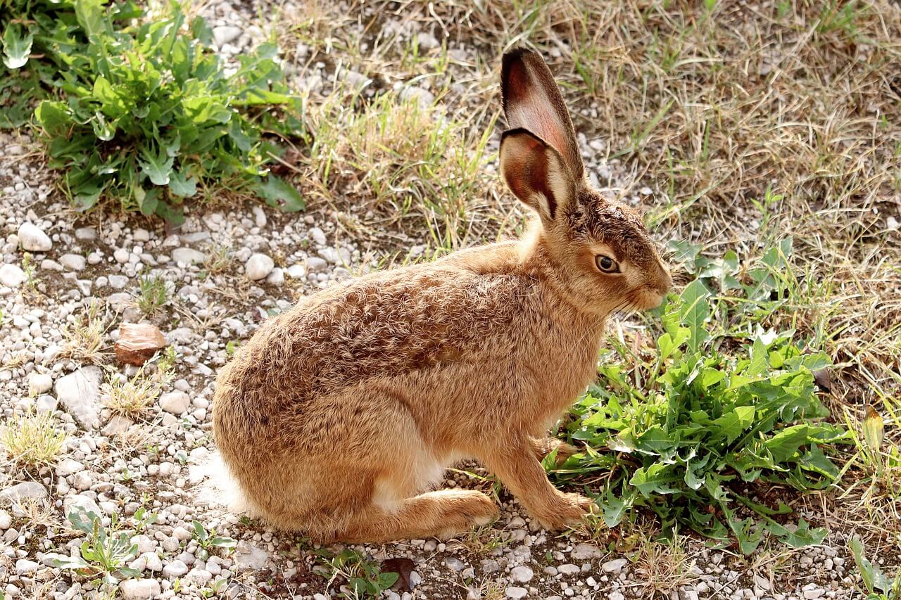 🐇 2025년8월토끼띠운세
