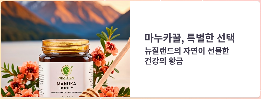 MANUKAHONEY 추천, 어떤게 찐일까? 등급과 효능 총정리!