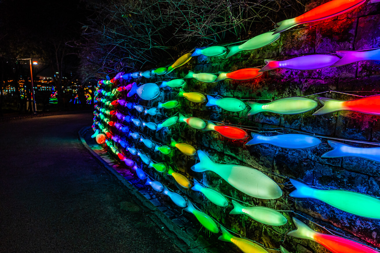 가을 축제 가볼만한 곳