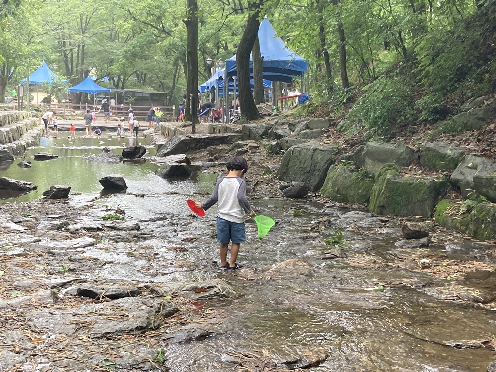 계곡 하류