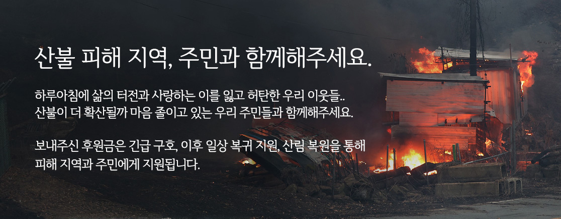산불 피해 기부, 지금 우리가 돕는 방법