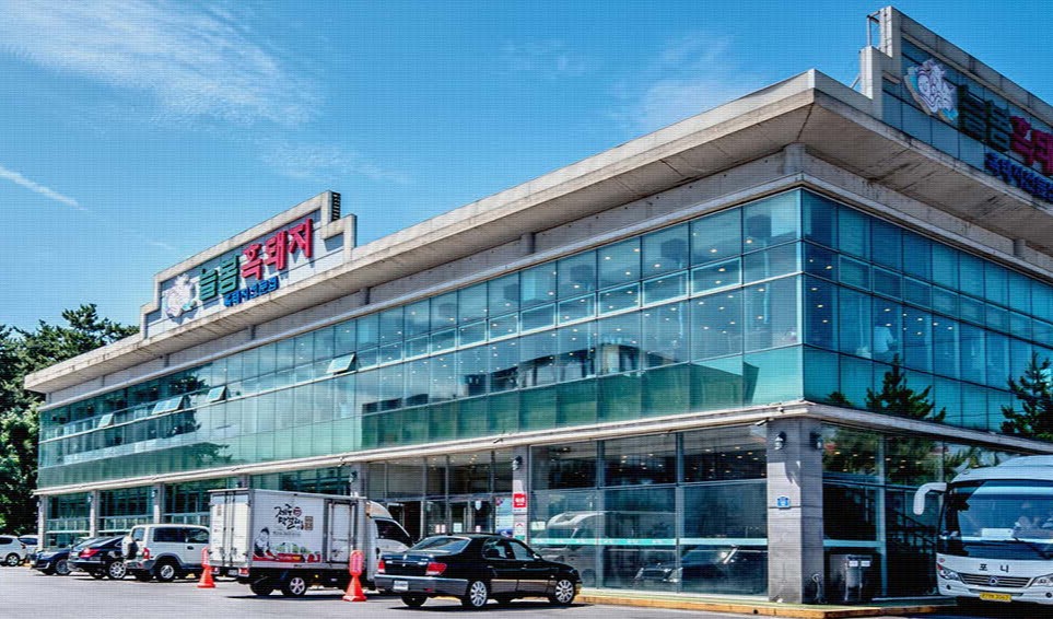 현지인과 외지인이 뽑은 제주시 맛집추천 순위 ( 한식, 외국식, 카페&amp;베이커리, 기타)