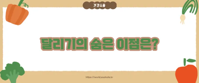 달리기 운동효과 (+건강에 좋은 이유)
