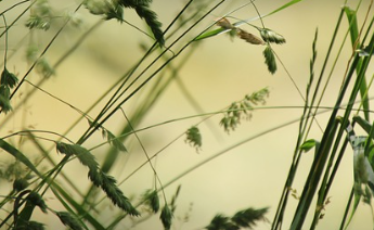 공무원 정년연장 65세 시행 시기 바로 보기 17