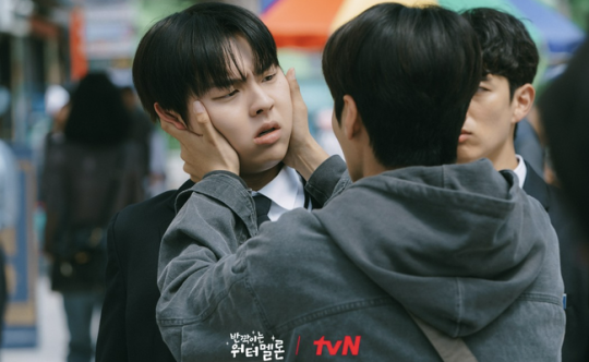 tvN 반짝이는 워터멜론 등장인물 줄거리 인물관계도