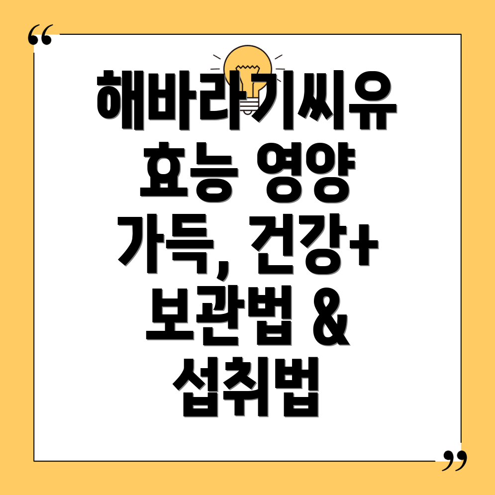 포커스 키워드를 찾을 수 없음