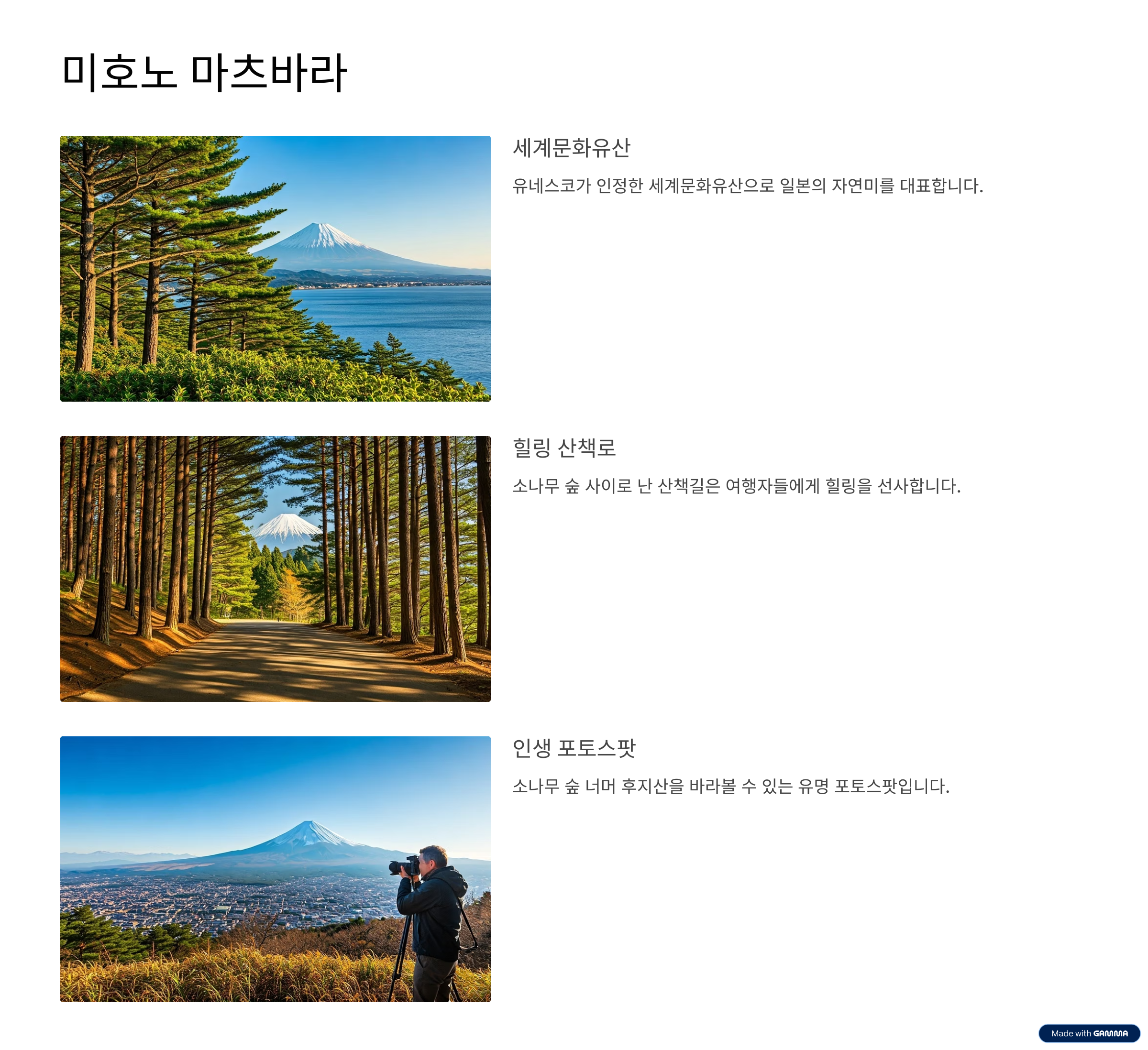 시즈오카 자유여행 가이드 후지산 전망부터 온천&middot;녹차 체험 코스 추천