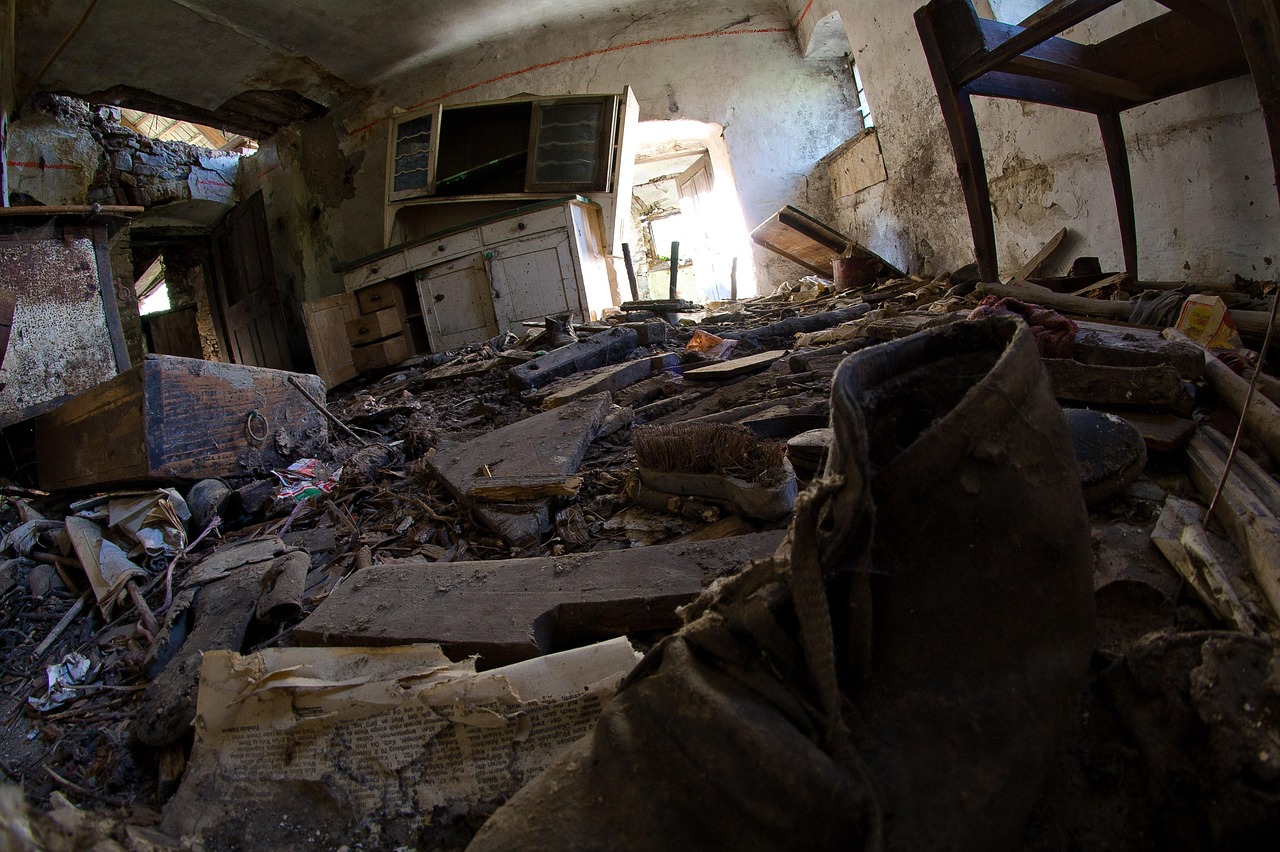 2026 삼재띠(돼지띠·토끼띠·양띠) 총정리: 눌삼재 잘 이겨내는 법