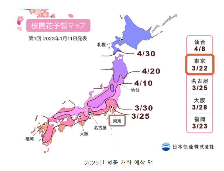 2023년 도쿄 개화시기